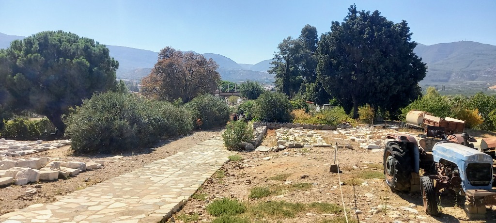 Efes Doğa Manzarası
